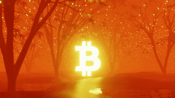 blender animation of a glowing orange bitcoin moving though a forest